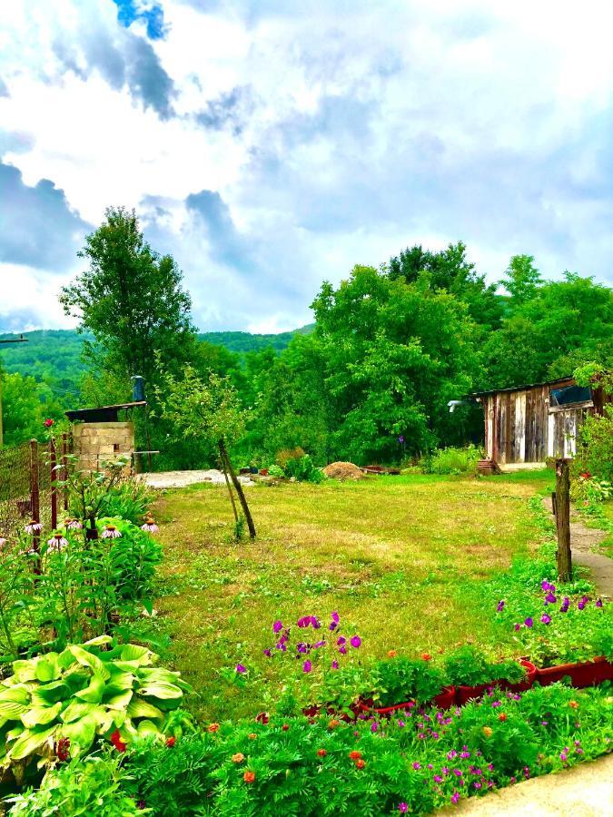 Guesthouse D&D Licko Petrovo Selo ภายนอก รูปภาพ