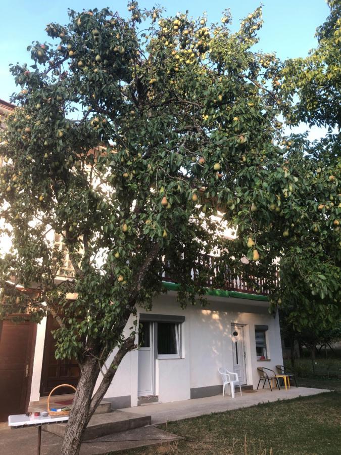 Guesthouse D&D Licko Petrovo Selo ภายนอก รูปภาพ