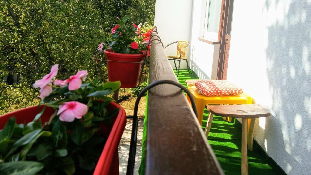 Guesthouse D&D Licko Petrovo Selo ภายนอก รูปภาพ